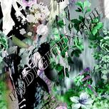 Colour:C