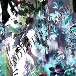 Colour:F