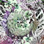 Colour:C