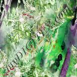 Colour:D