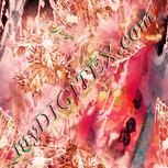 Colour:J