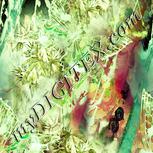 Colour:K