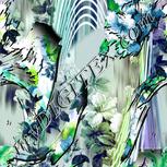 Colour:C