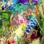 Colour:A