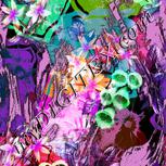 Colour:B