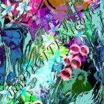 Colour:C