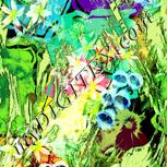 Colour:K