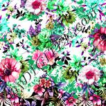Colour:B