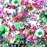 Colour:C