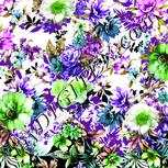 Colour:D