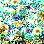 Colour:K