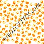 Colour:K