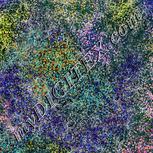 Colour:F