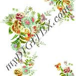Colour:K