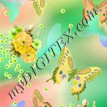 Colour:B