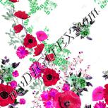 Colour:B