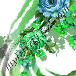 Colour:D