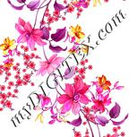Colour:B