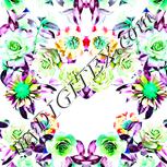 Colour:C