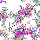 Colour:B