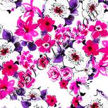 Colour:B