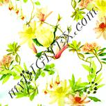 Colour:K