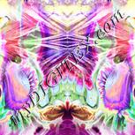 Colour:C