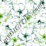 Colour:C