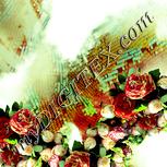 Colour:K