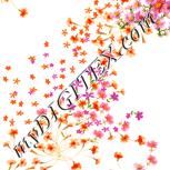 Colour:J