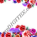 Colour:A