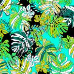 Colour:F