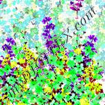 Colour:D