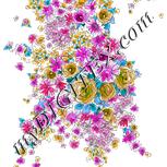 Colour:B