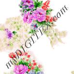 Colour:C
