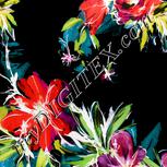 Colour:F
