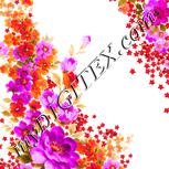 Colour:A