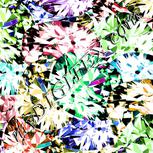 Colour:F