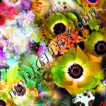 Colour:C