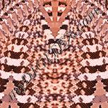 Colour:J