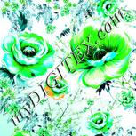 Colour:C