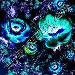 Colour:F