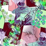 Colour:C