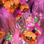 Colour:F
