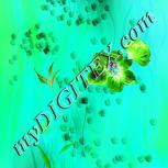 Colour:K