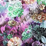 Colour:B