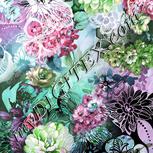 Colour:C