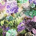 Colour:D
