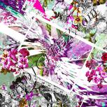 Colour:B
