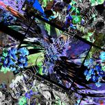 Colour:F